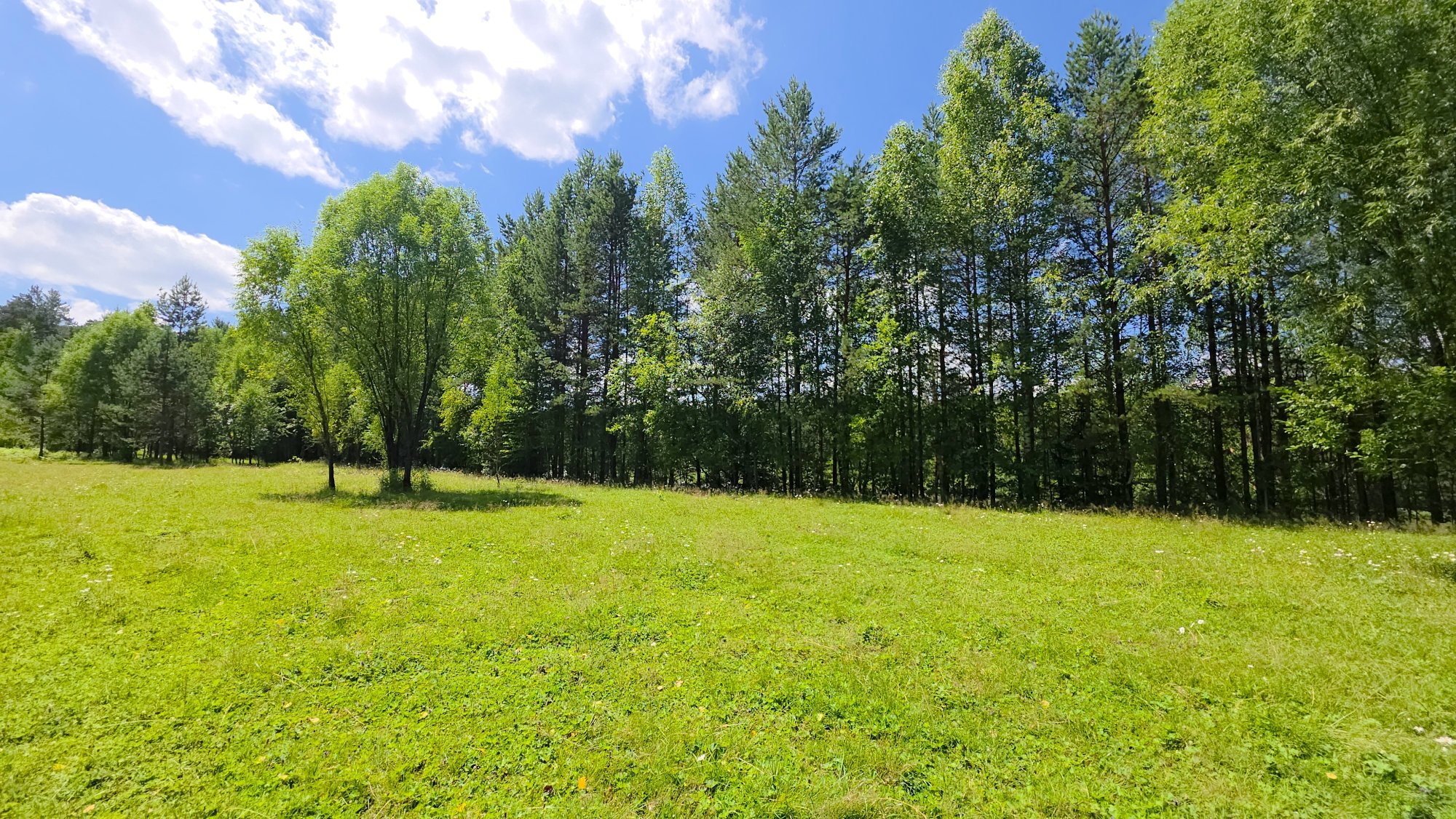 Купить Участок 30 соток (ИЖС 3/49 - Т) земельные участки Горного Алтая