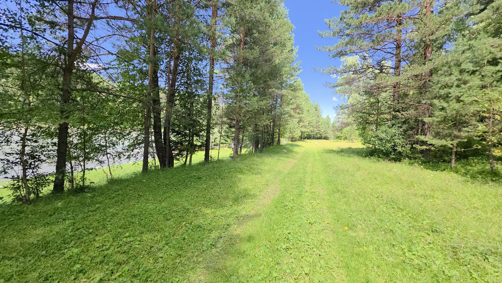 Купить Участок 6.3 соток (ИЖС 3/40 - Т) земельные участки Горного Алтая