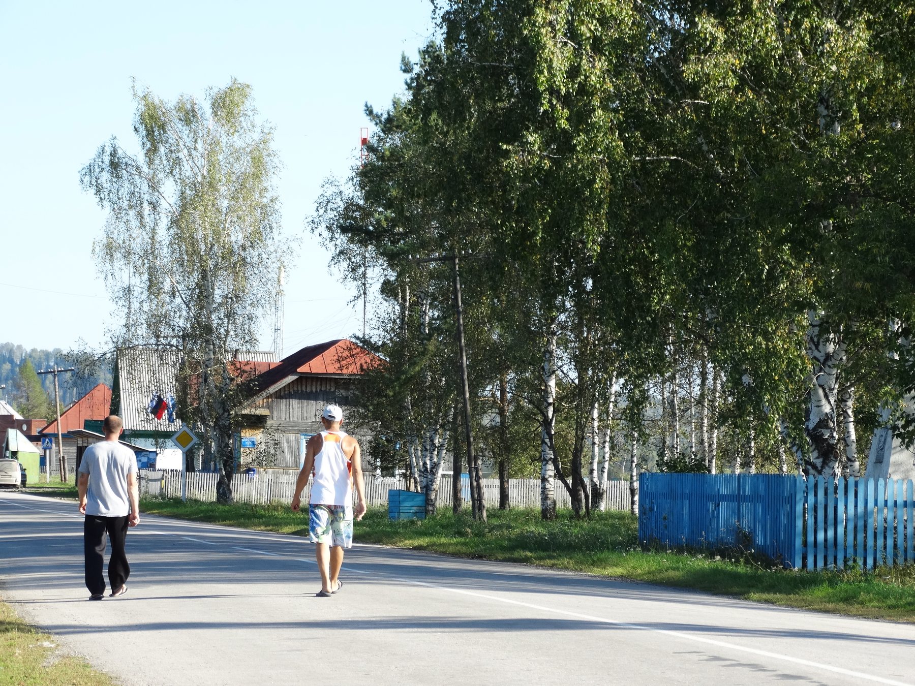 Buy the village of glampings "Silence of the mountains" land plots of the Altai Mountains