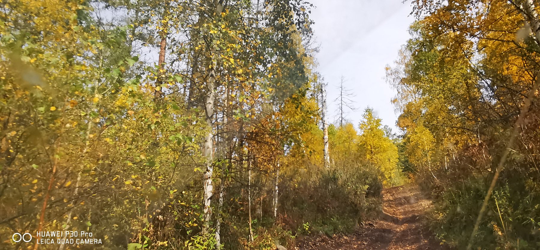Купить Кедровая заимка с видом на горы земельные участки Горного Алтая