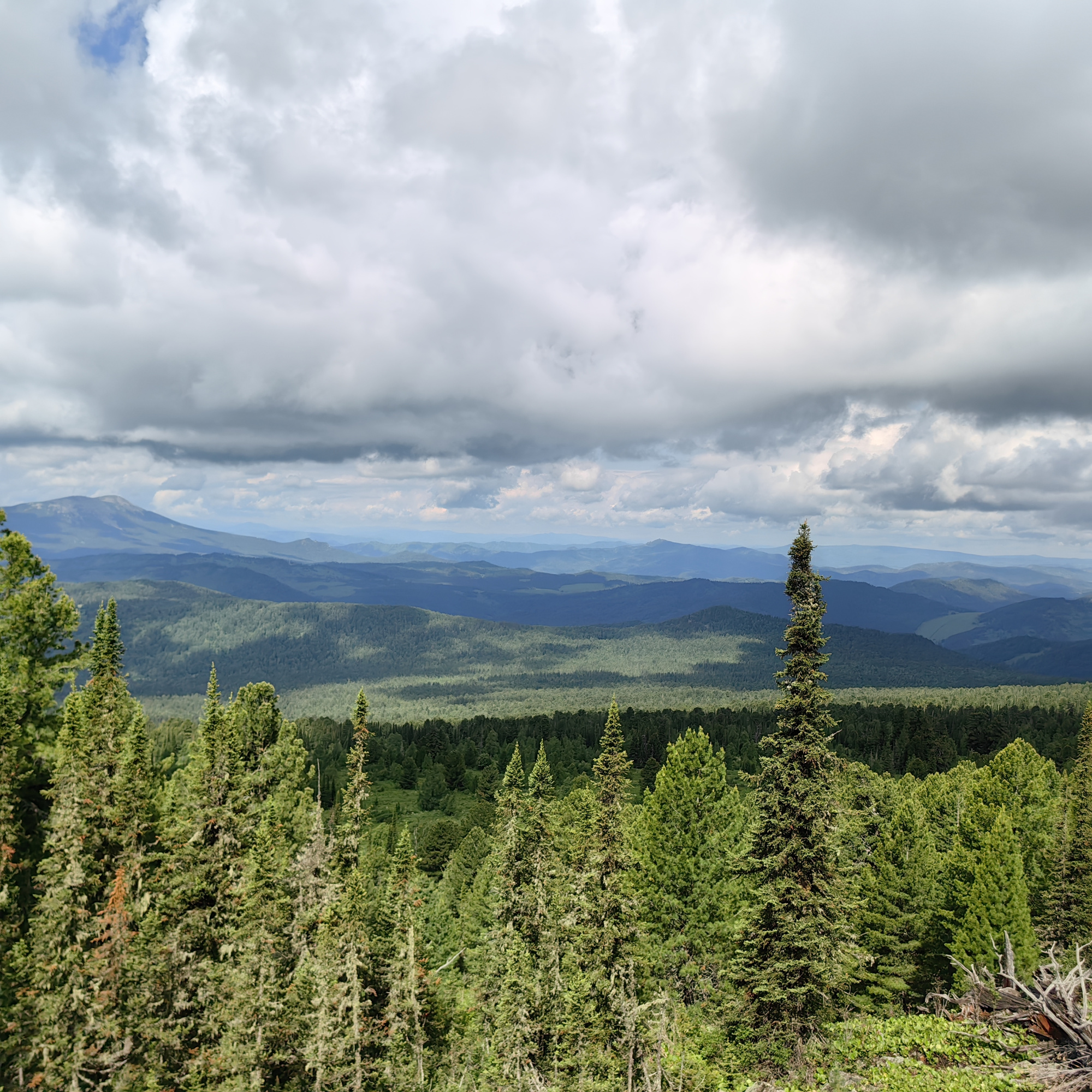Купить Участок 23.22 соток (9-К4) земельные участки Горного Алтая