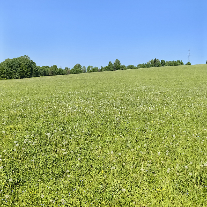 IMG_20230605_110203.jpg