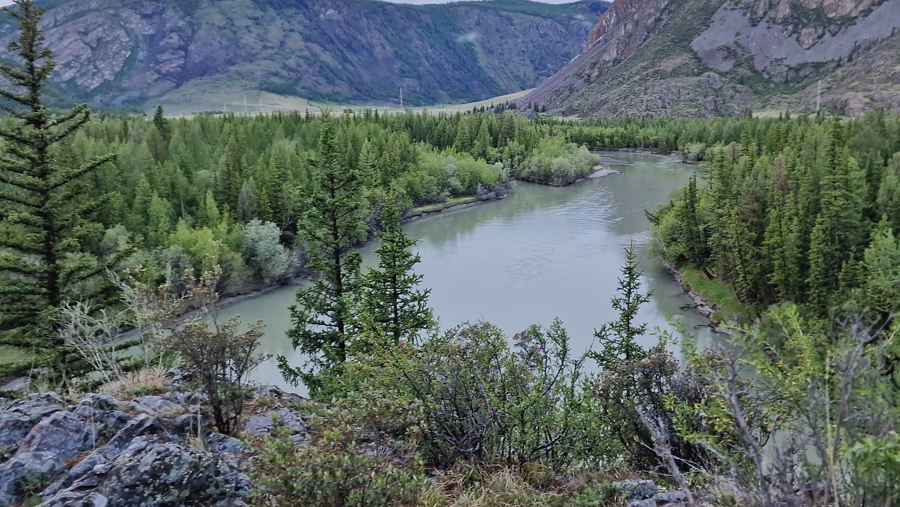 20220605_191629.jpg