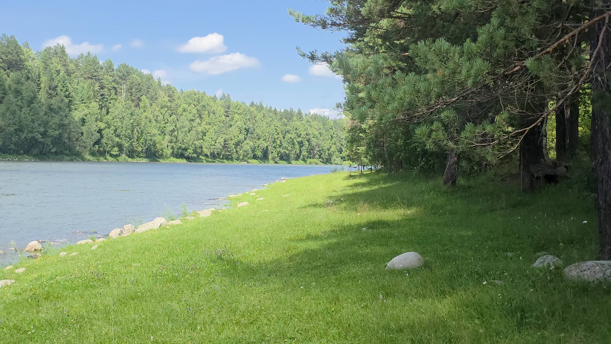 Купить Участок 30 соток  — (ИЖС 3/50 - Т) земельные участки Горного Алтая