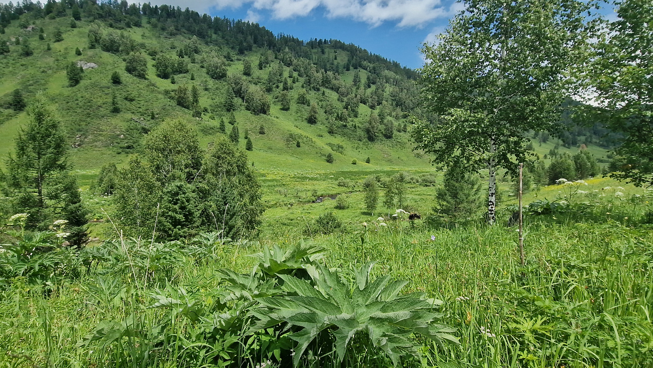 20220701_125054.jpg