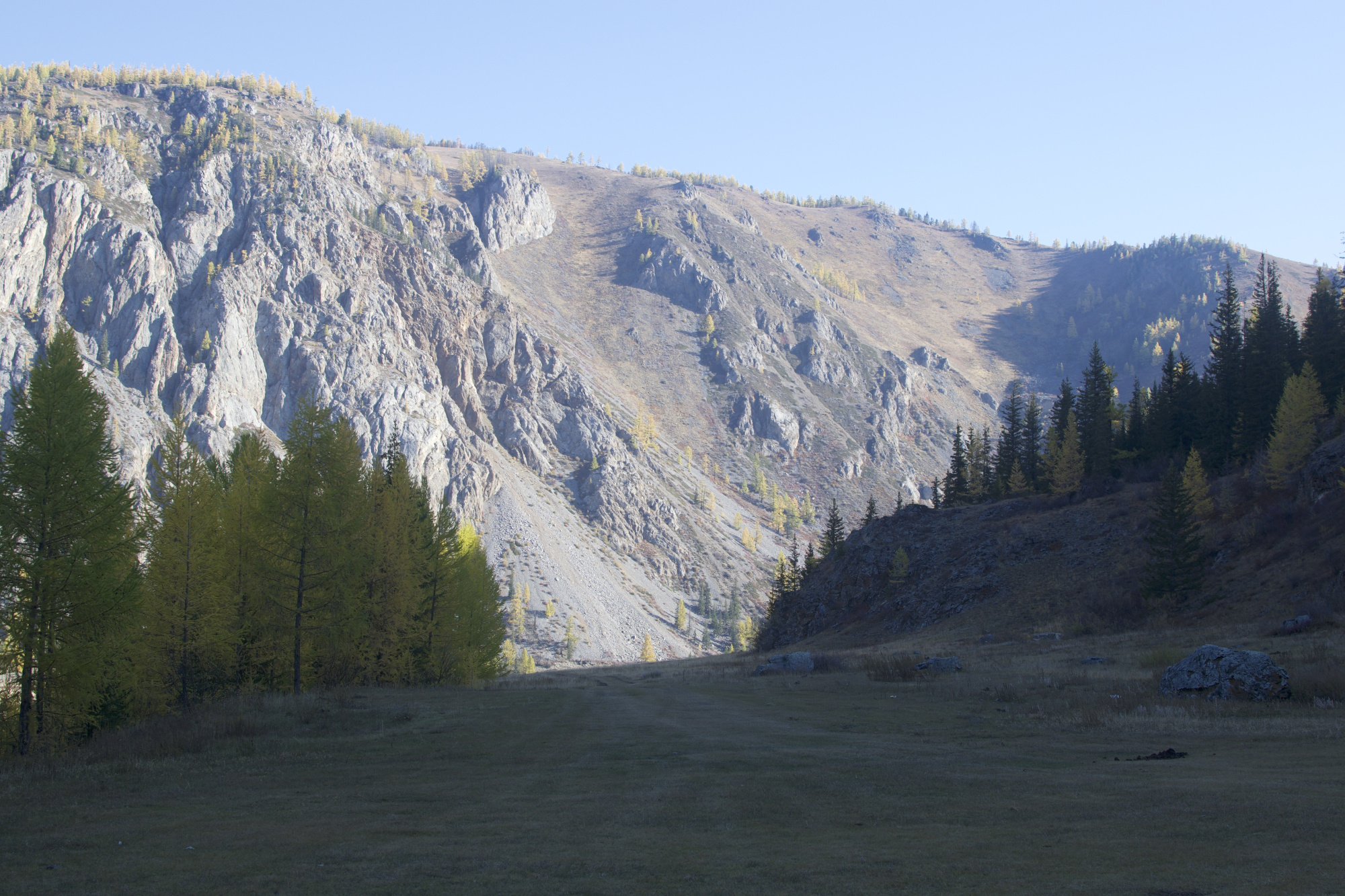 Купить Участок 36.95 соток (10-УЛР3) земельные участки Горного Алтая