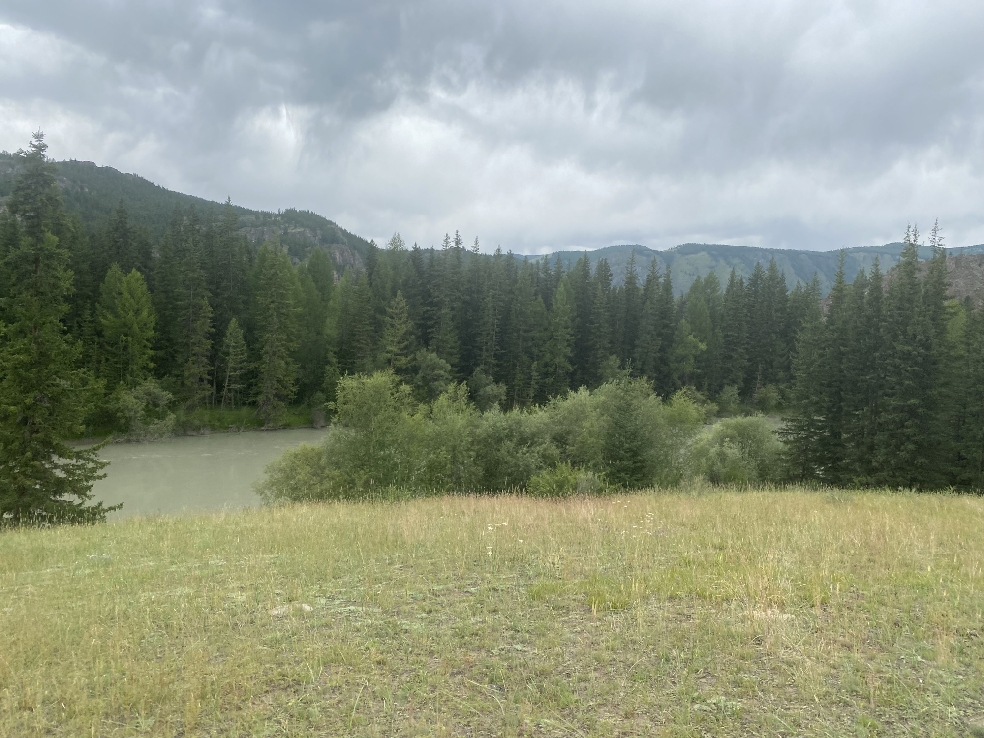 Купить Участок 12.52 соток (10-УЛР7) земельные участки Горного Алтая