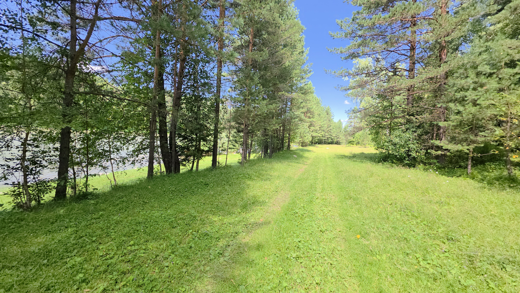 Купить Участок 30 соток  — (ИЖС 3/50 - Т) земельные участки Горного Алтая