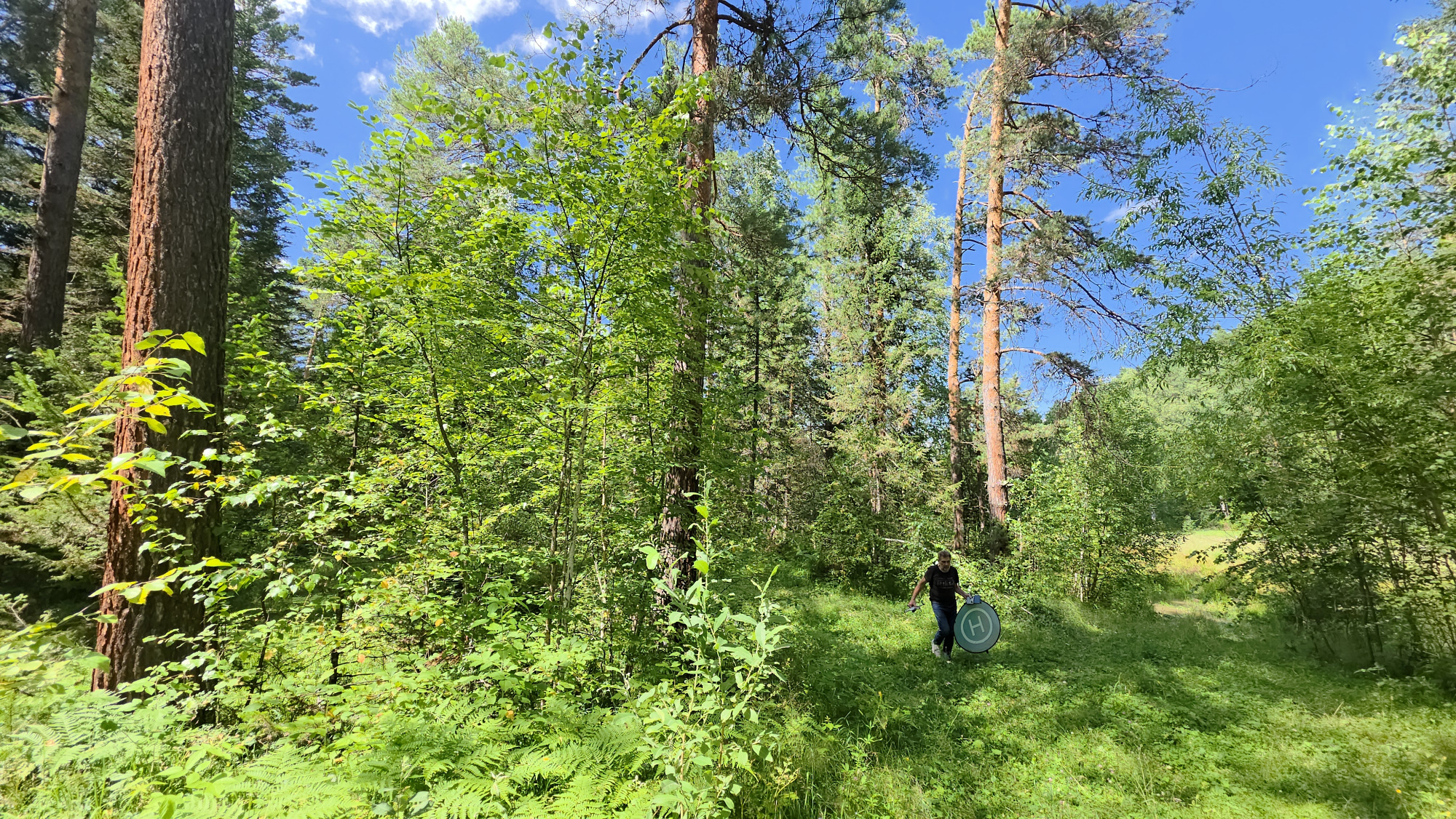 Купить Участок 21.69 соток (ИЖС 3/5 - Т) земельные участки Горного Алтая