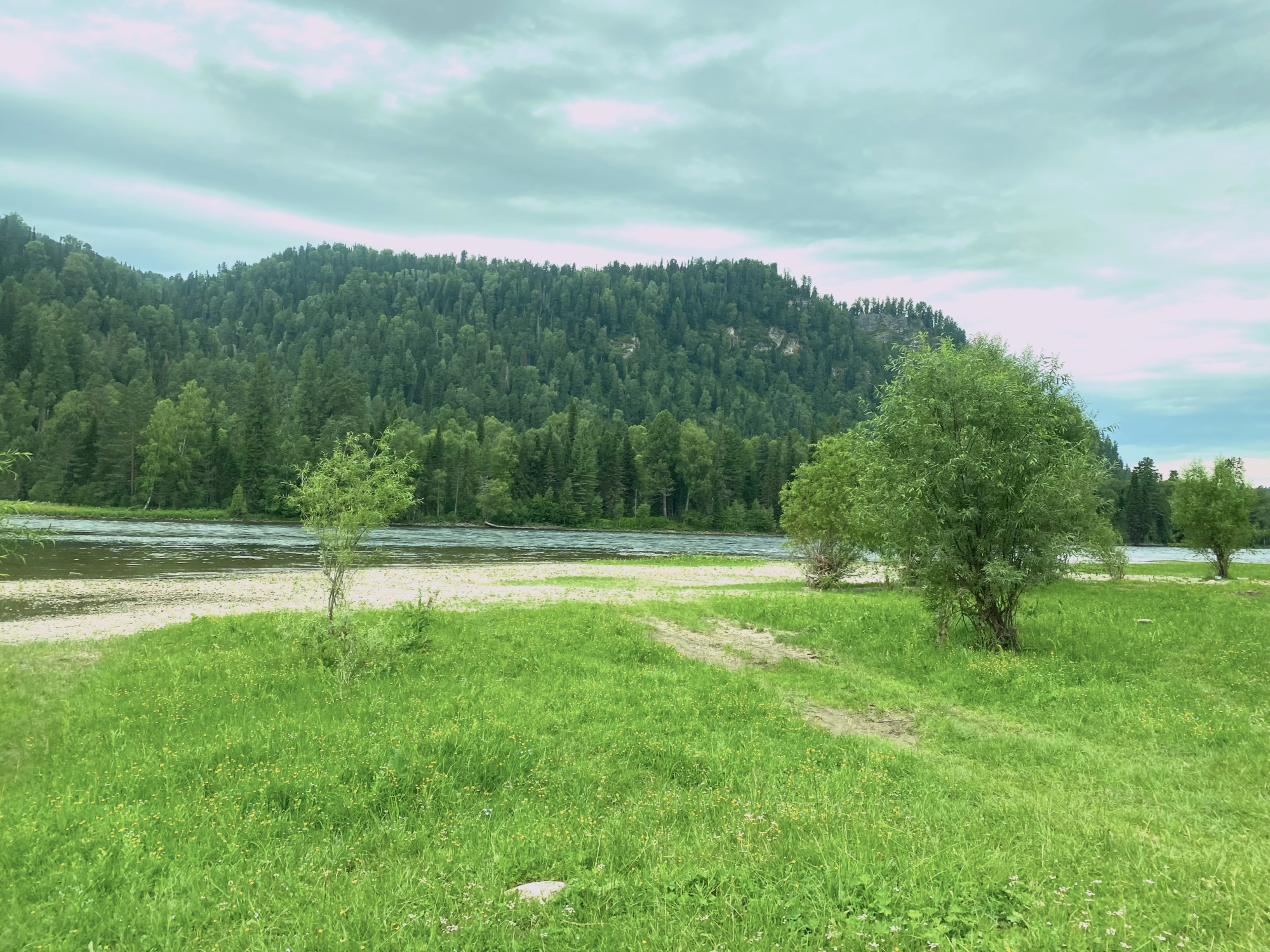 Купить Участок 30 соток  — (ИЖС 3/50 - Т) земельные участки Горного Алтая