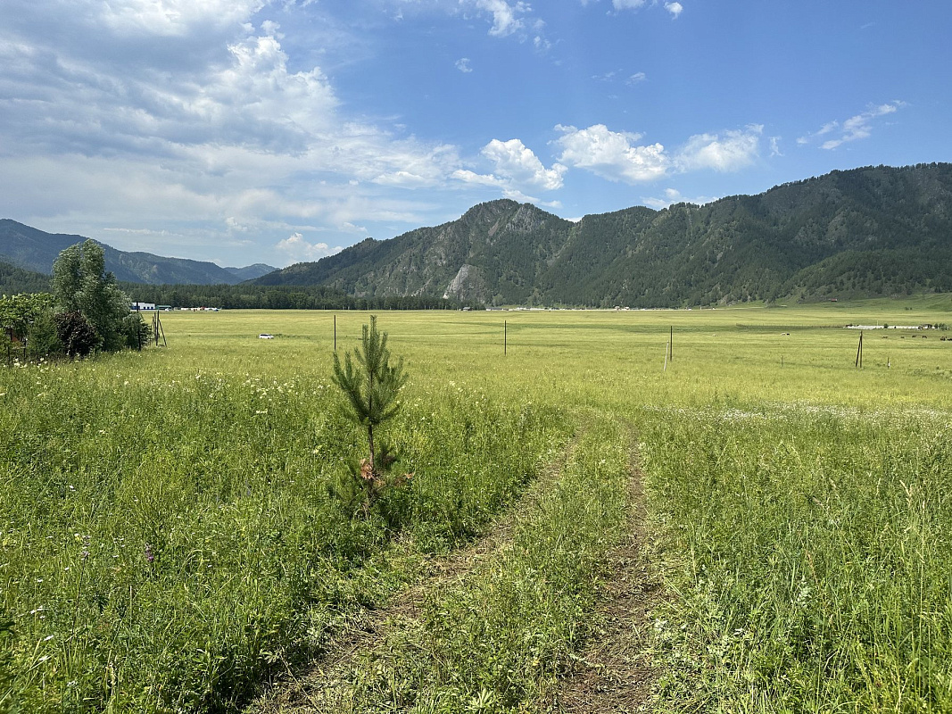 Панорамный курорт «Водный мир Алтая»